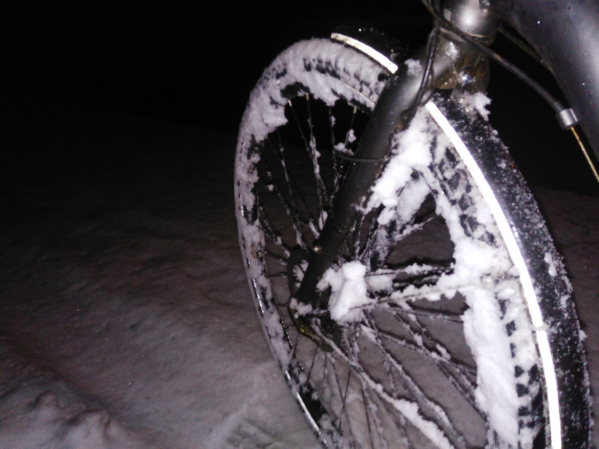 zima rower
