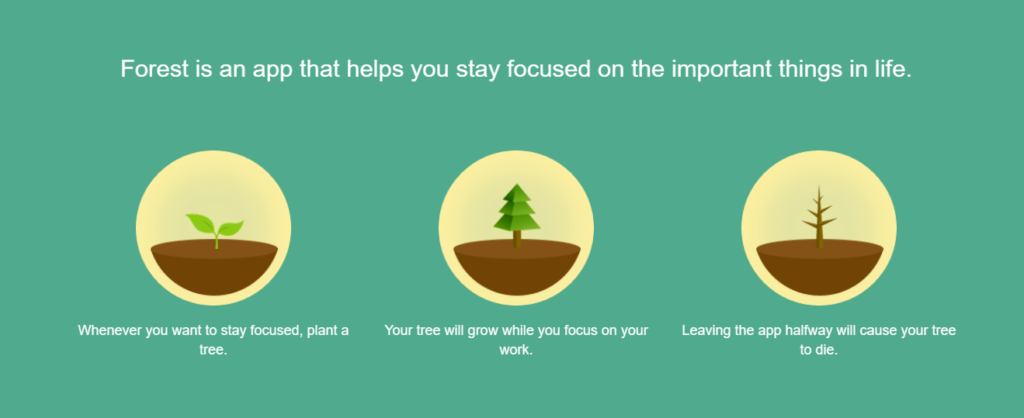 Jak się skupić na nauce z aplikacją Forest?